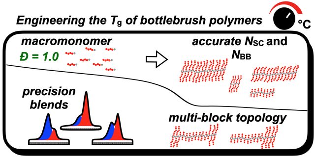 Strategies to set the glass transition temperature of bottlebrush polymers: exact side-chain and backbone lengths, precision blends and multiblock topology.
